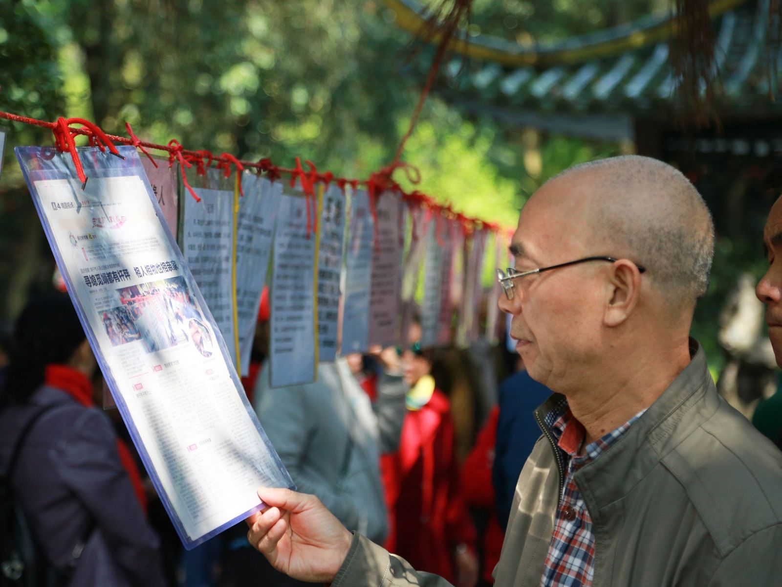 Old man reading at a park