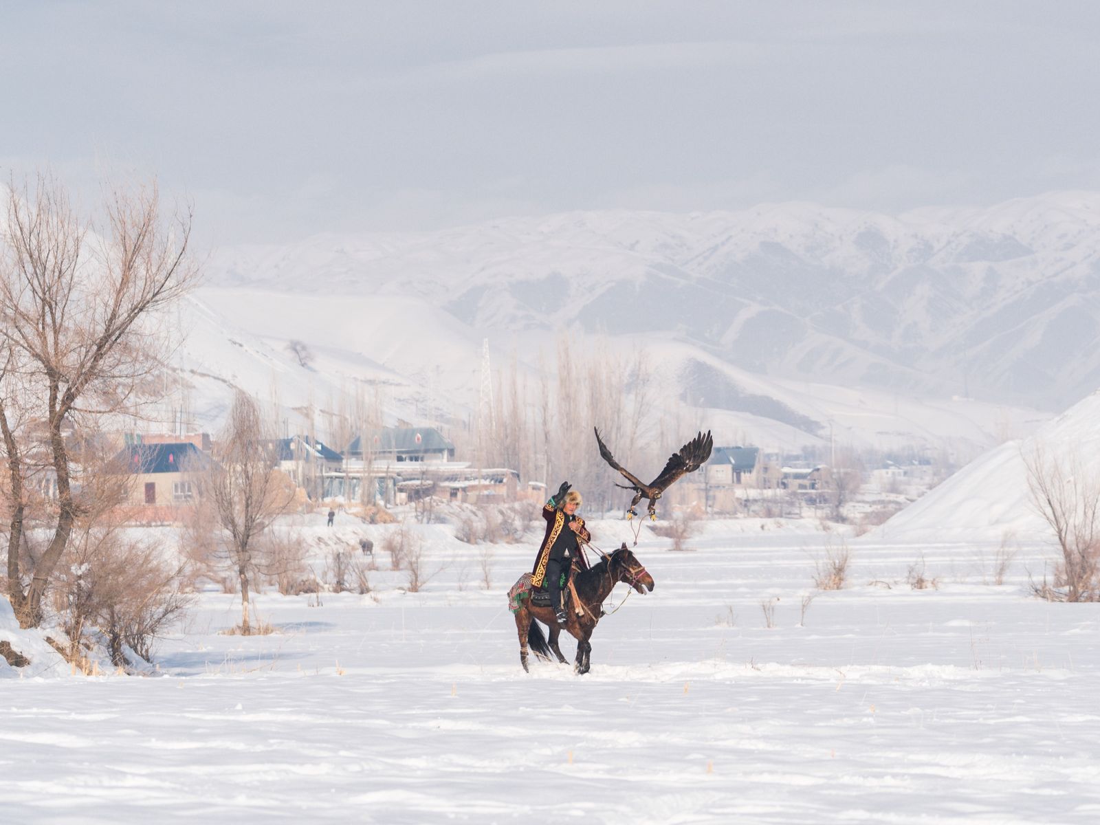 Kazakh falconer