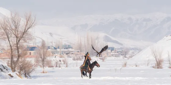 Kazakh falconer