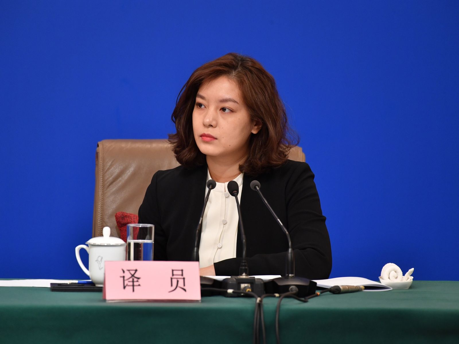 Chinese professional translator