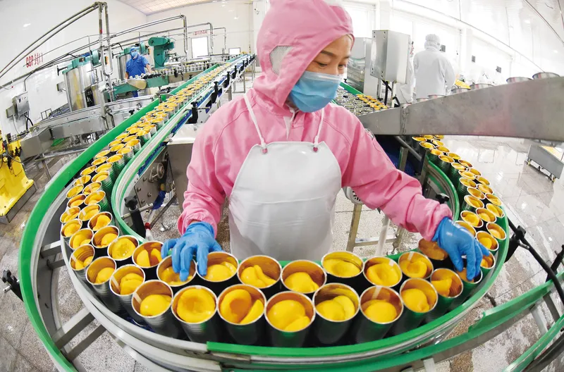 A factory in Lianyungang, Jiangsu province, is one of many in China producing canned peaches on an assembly line for export abroad