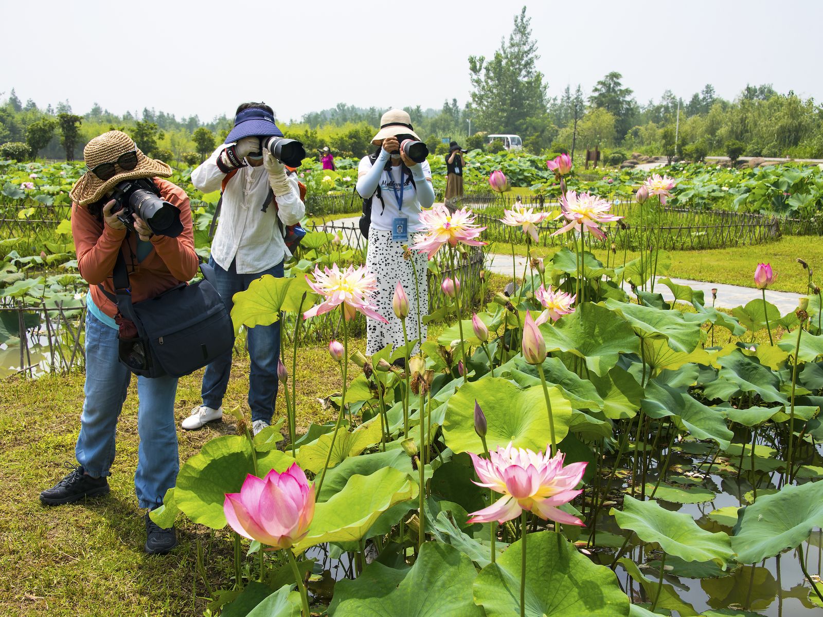 Tourists in Nanjing