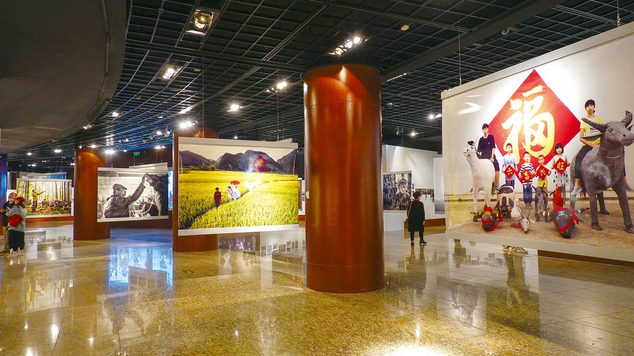 Luo Jinqian’s project “Six Animals All Thriving” was exhibited as part of the 2020 Chinese Visual Ethnographic Photo Biennale