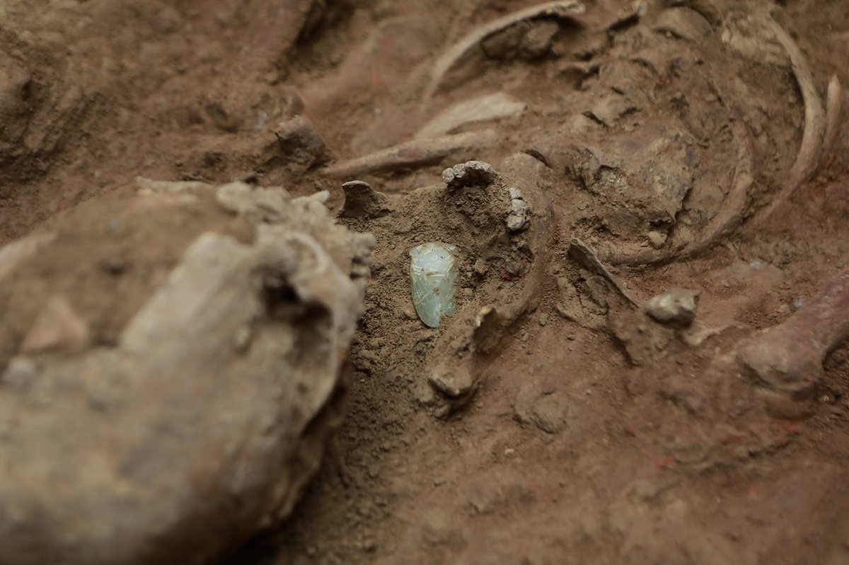 A jade cicada is discovered in the mouth of the deceased in a third-century BCE tomb excavated in Shaanxi