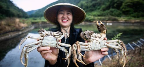 Woman holding two crabs