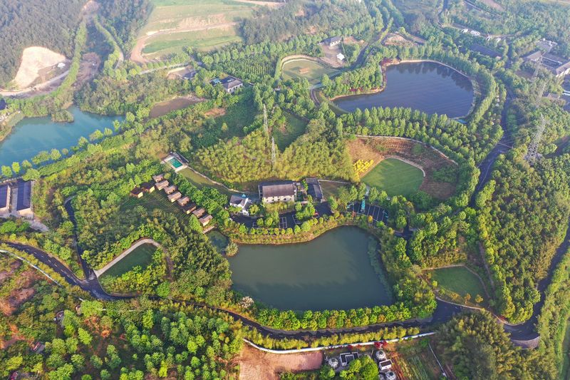 Xu Song established DNA in the picturesque rural surroundings of Anji county, Zhejiang province