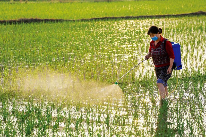 China food security, China uses over 30 percent of the world’s pesticides and fertilizers