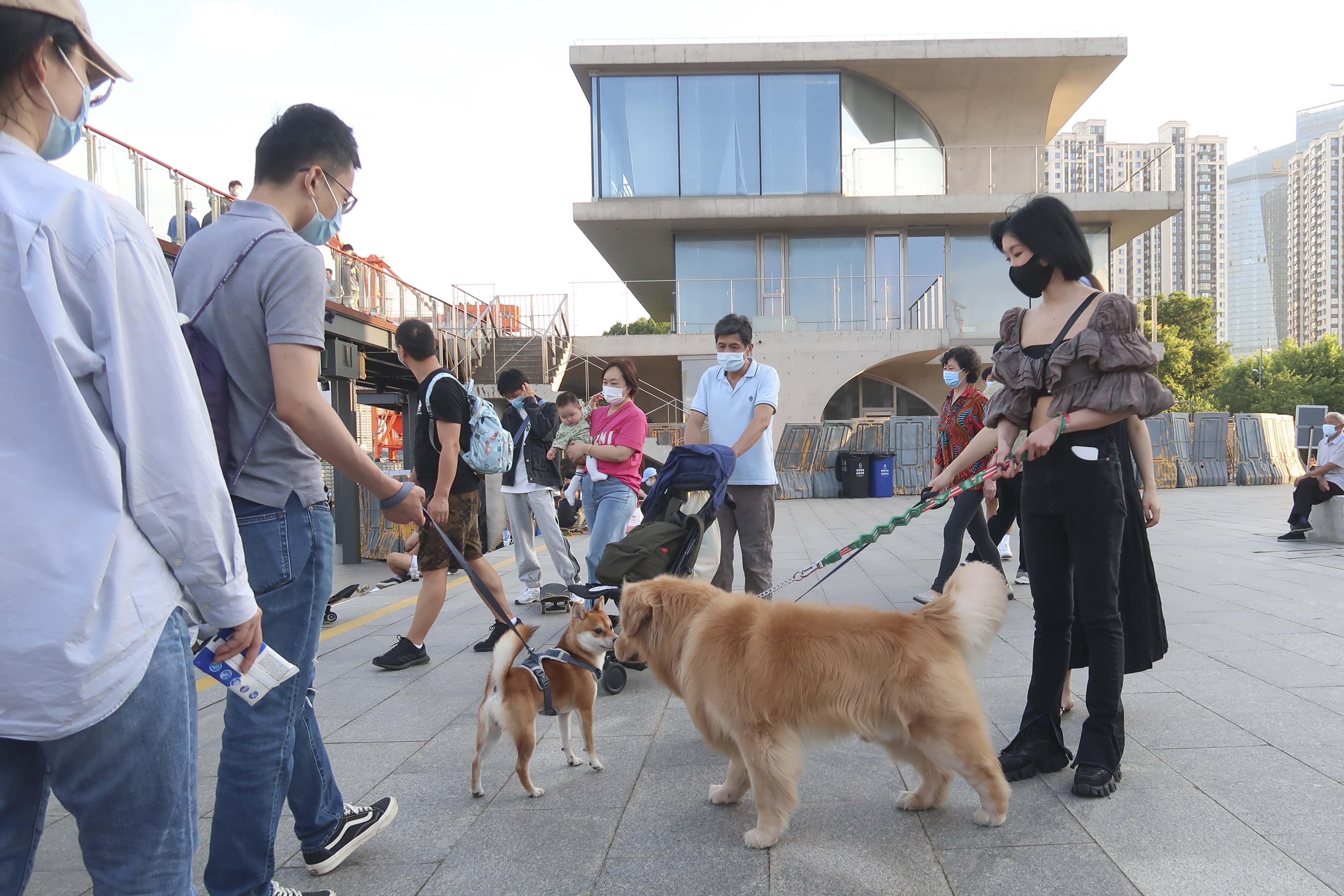 Meet the slobbering students of China’s pettraining schools The