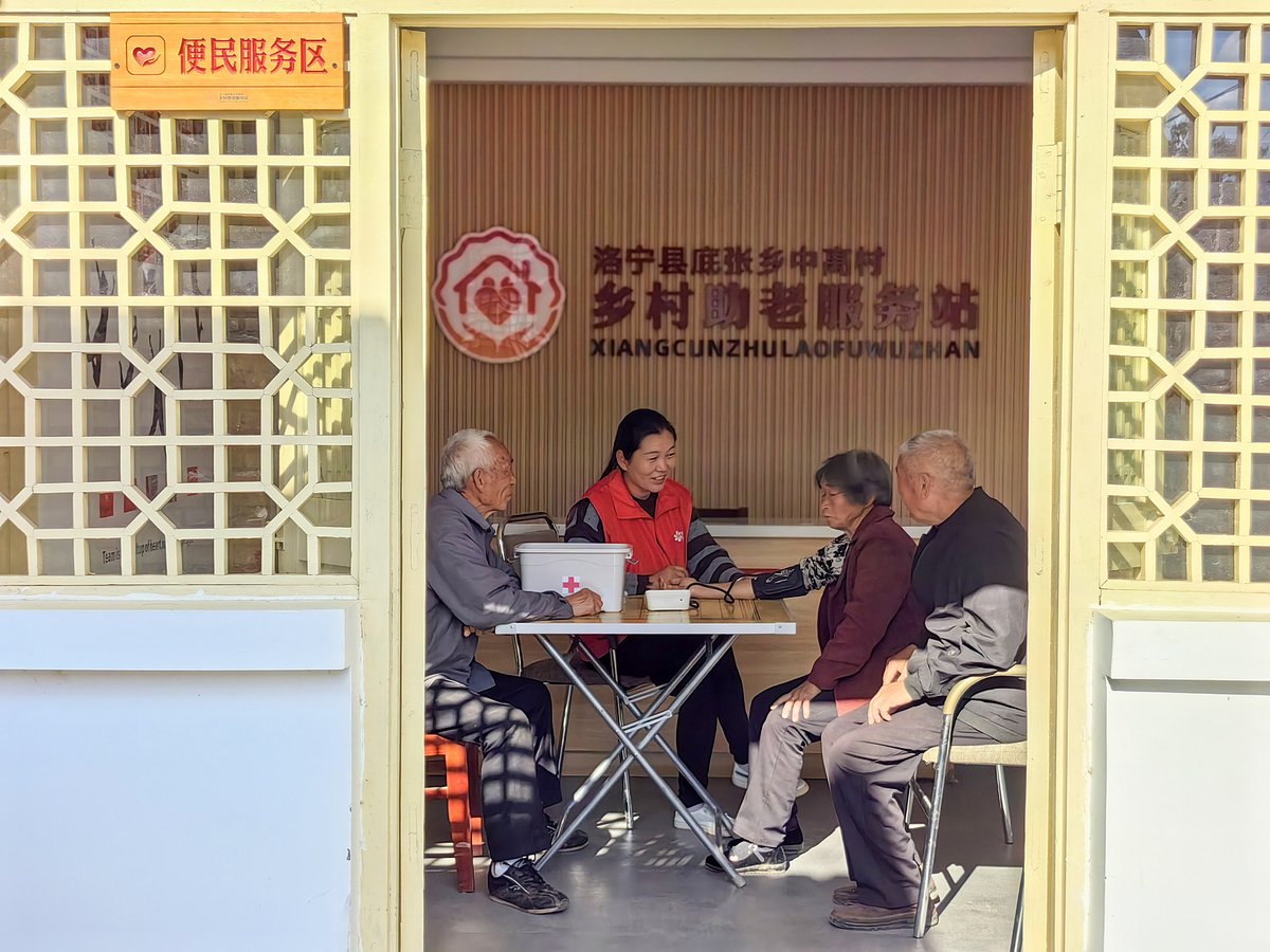 empty-nest seniors, rural Chinese elderly, rural China