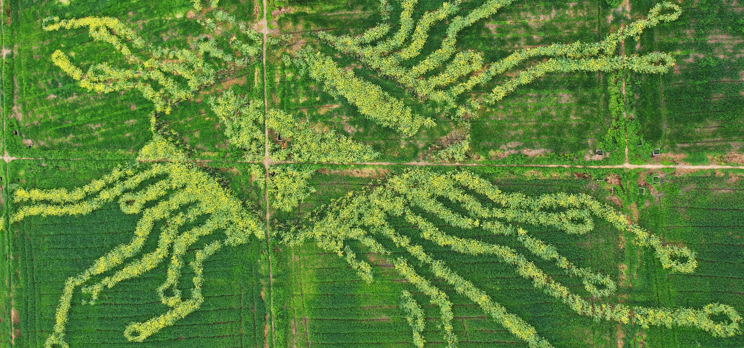 VCG111488811457