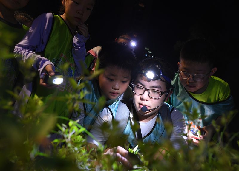 urban Chinese children, park in Beijing, nature education, reconnecting with nature