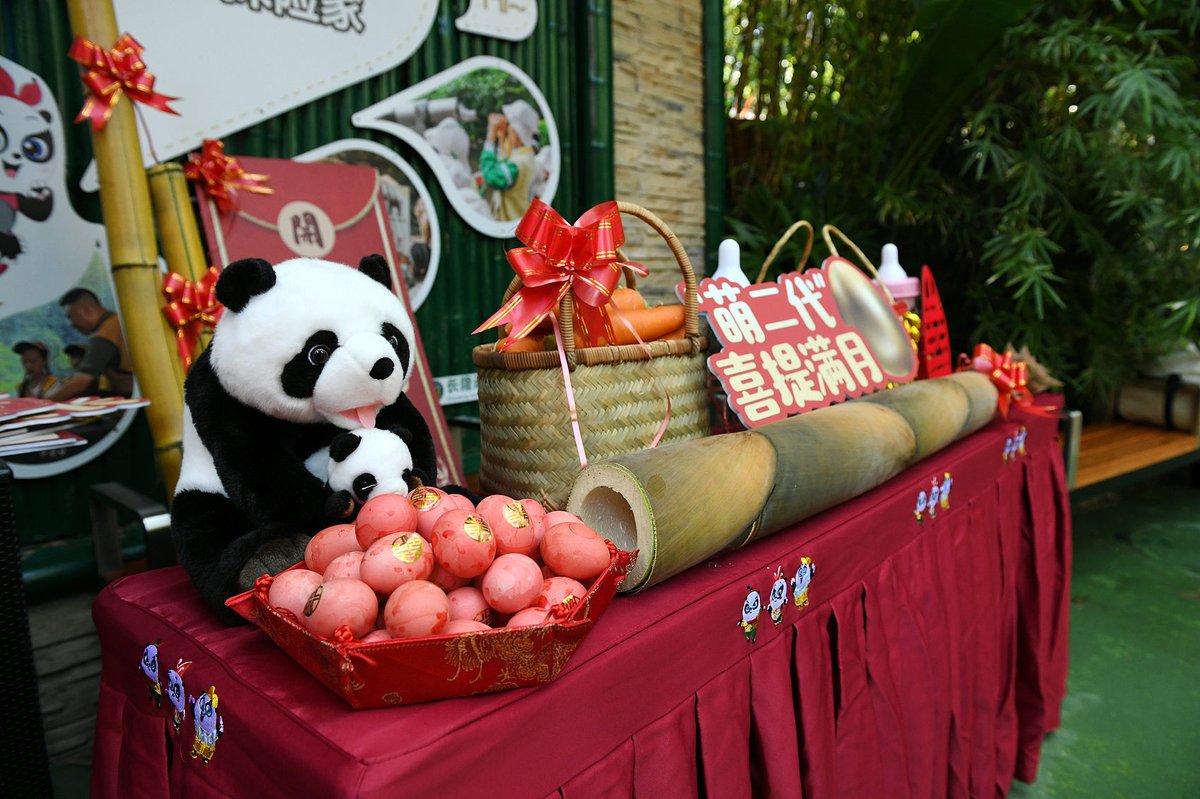 A zoo in Guangzhou gives out red eggs to visitors to celebrate the one-month anniversary of its newborn panda cub in 2024