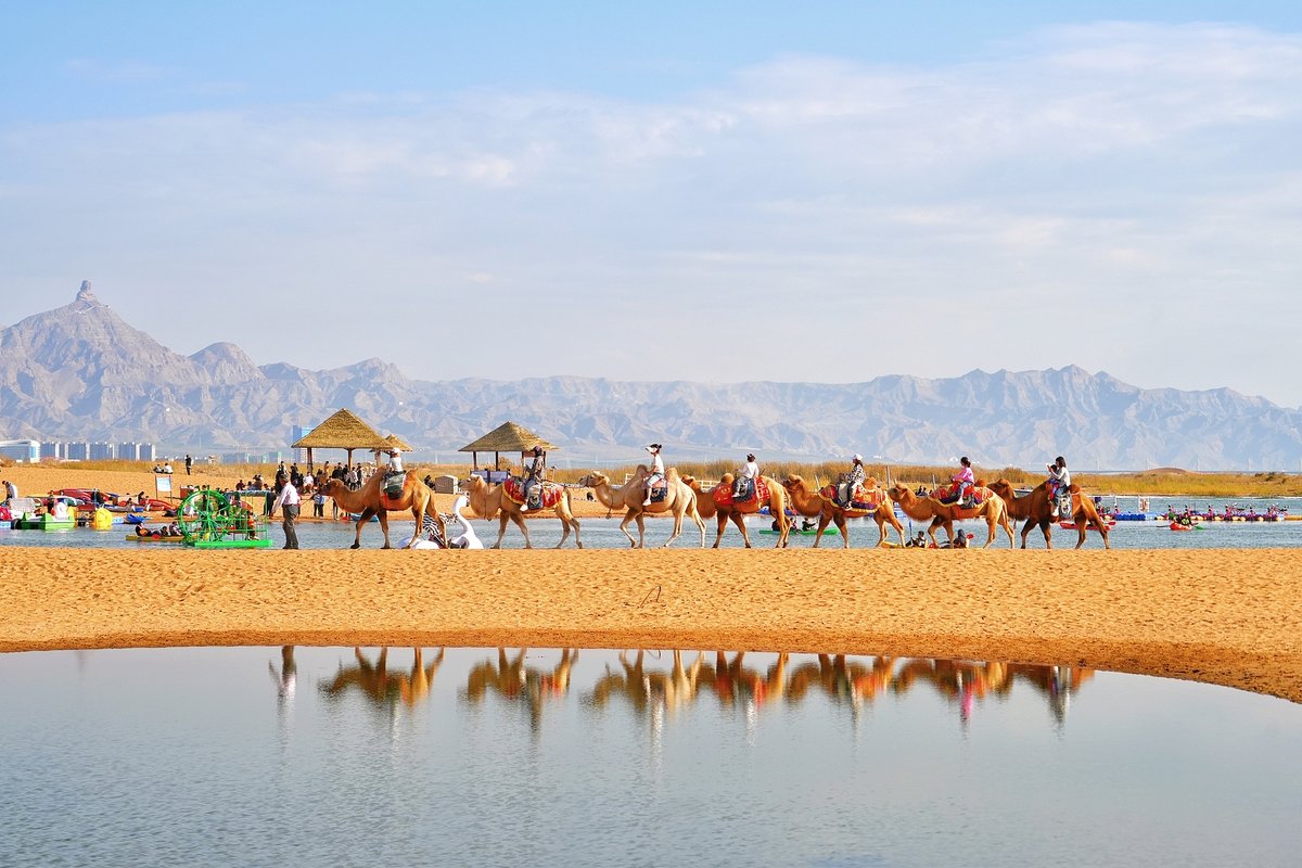 Visitors can ride camels across the desert along Wuhai Lake, National Day holiday destinations