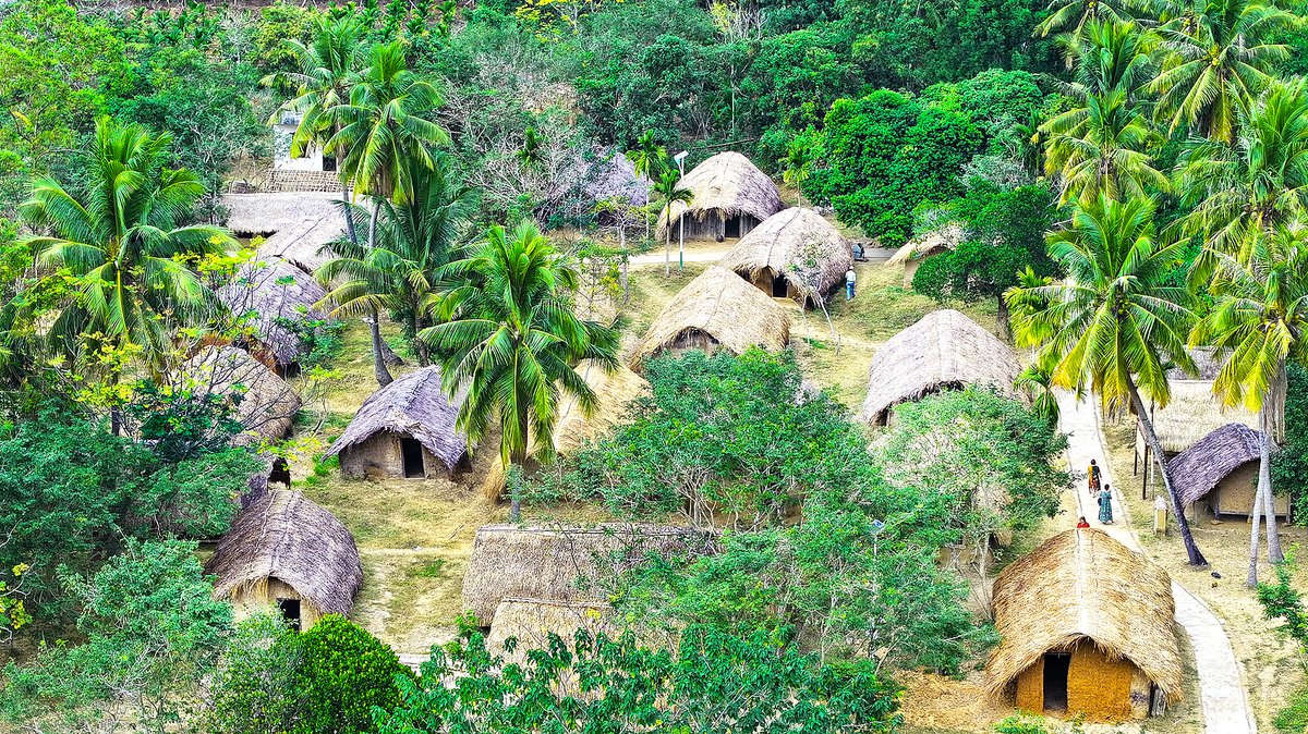 Baicha village’s traditional boat houses