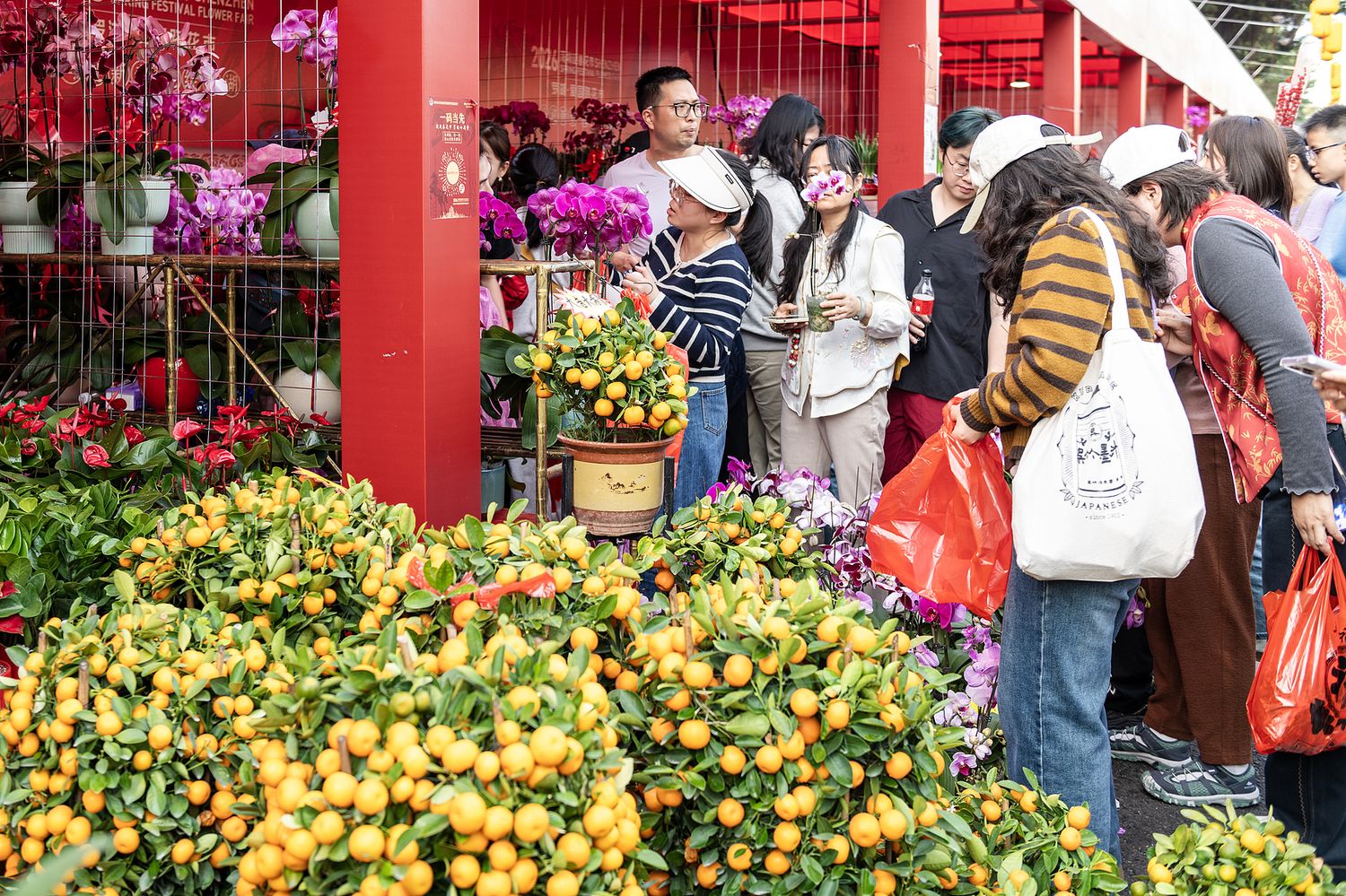 Shenzhen, Chinese New Year