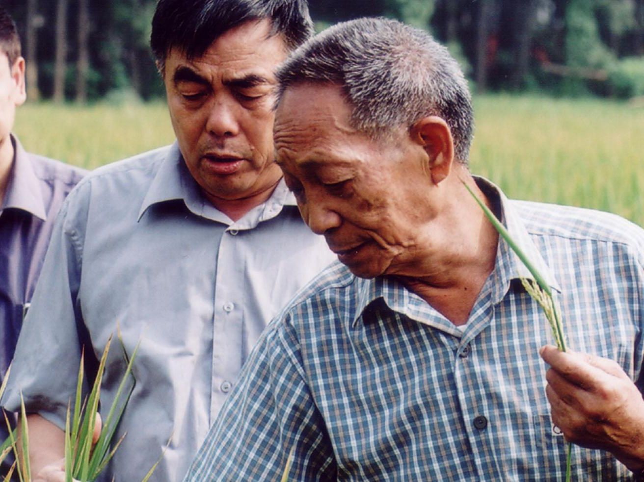 Yuan Longping the father of rice.