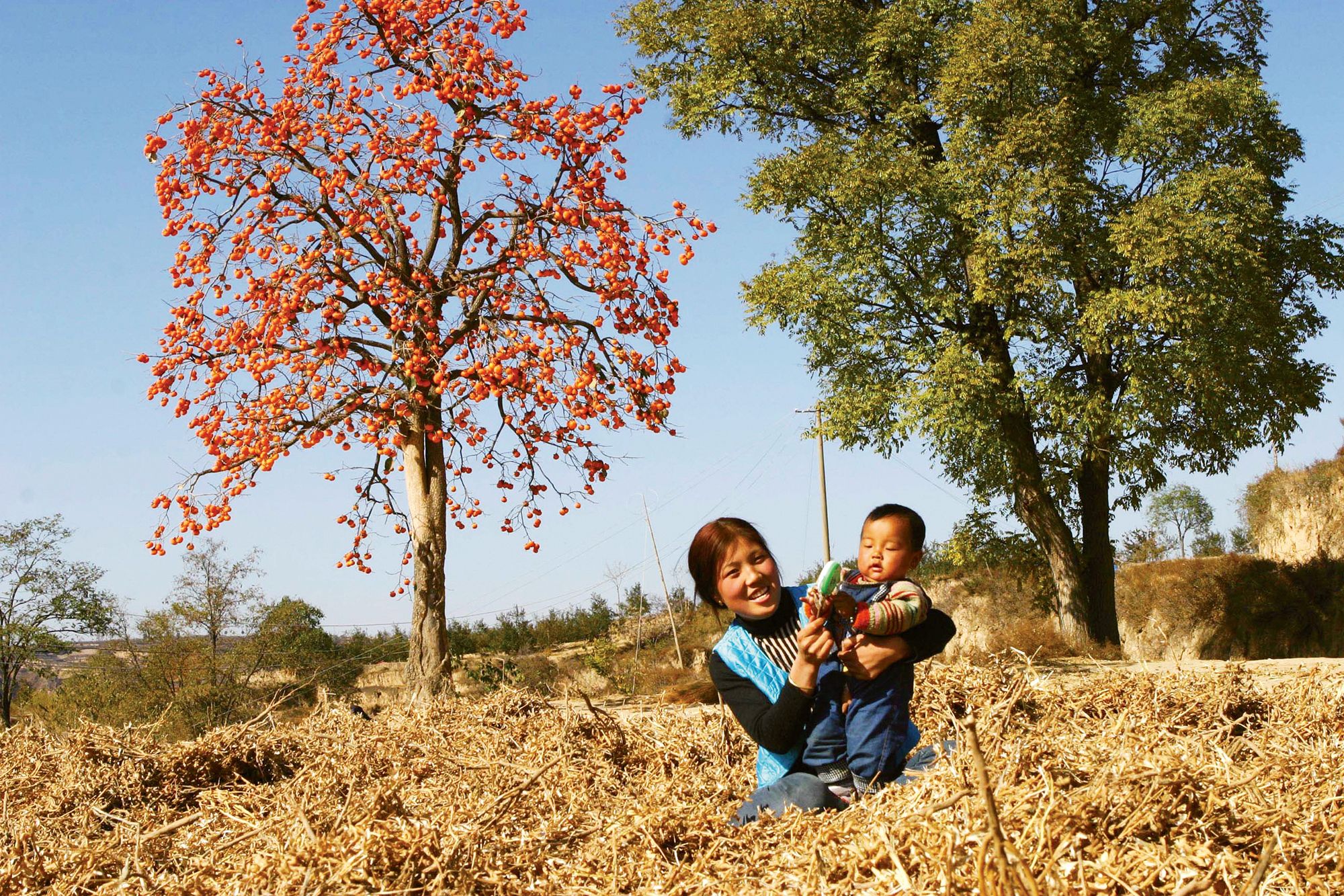 For Land’s Sake: The Married Chinese Women Fighting for Their Rural ...
