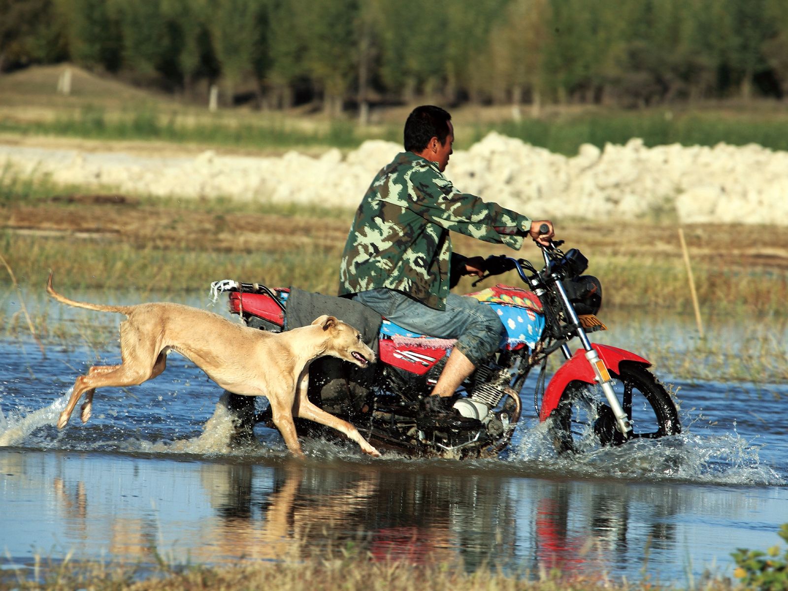 Man riding with scooter