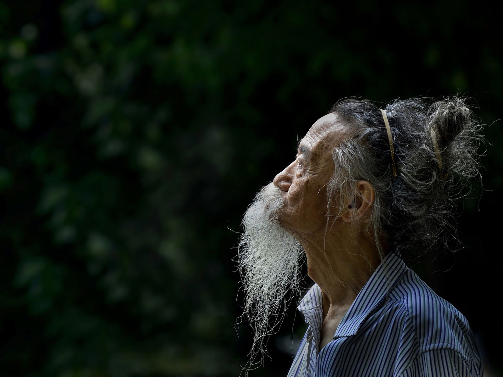 Old Chinese man beard