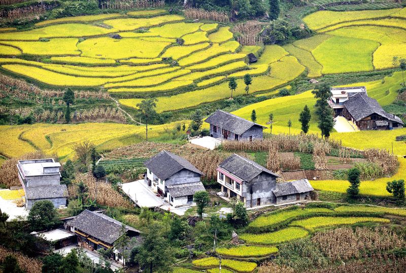 Autumn scenery in a Tujia village in the Wuling Mountains