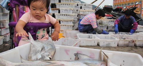 Ningbo child playing with fish
