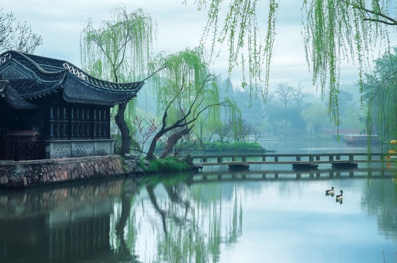 Chinese trees and their meanings