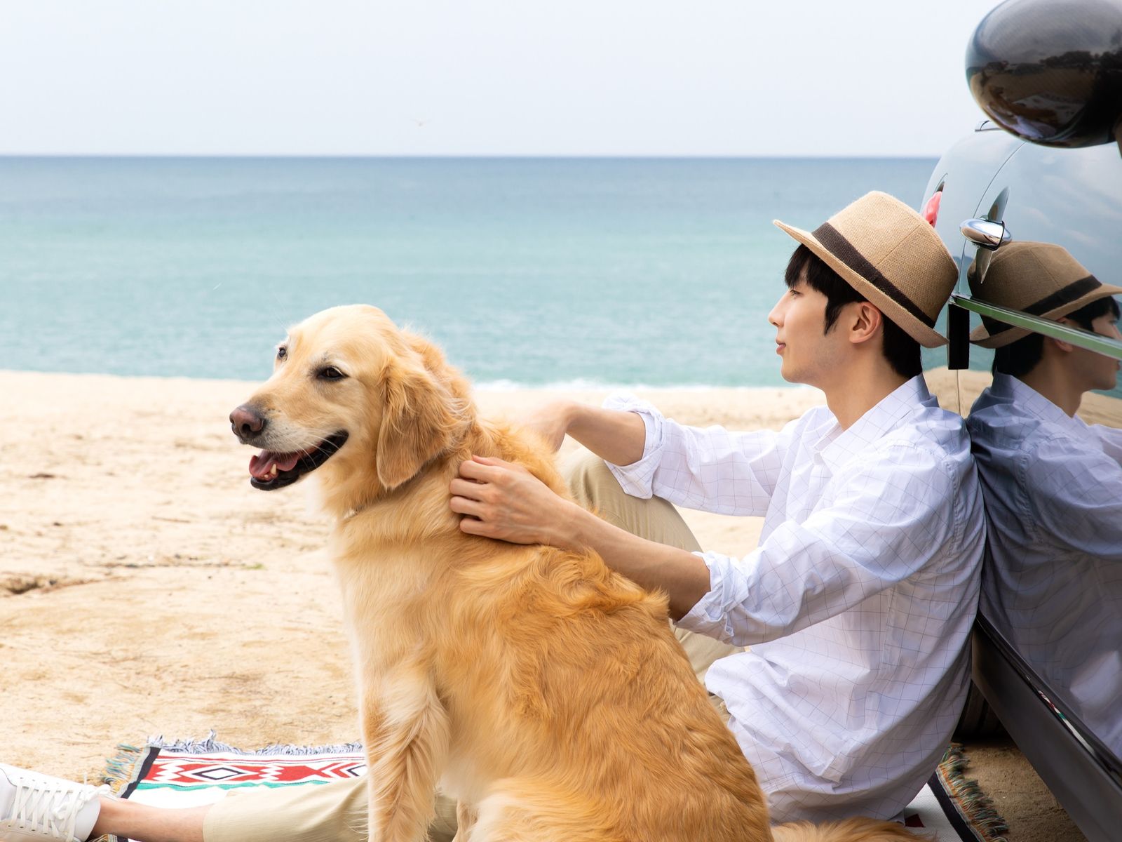 Single man, single dog