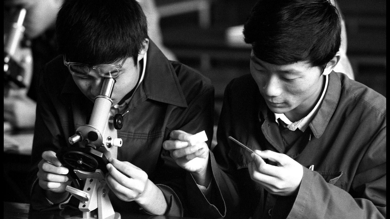 High school students in Shanghai analyzing