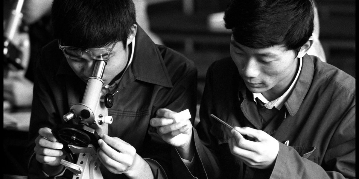 High school students in Shanghai analyzing