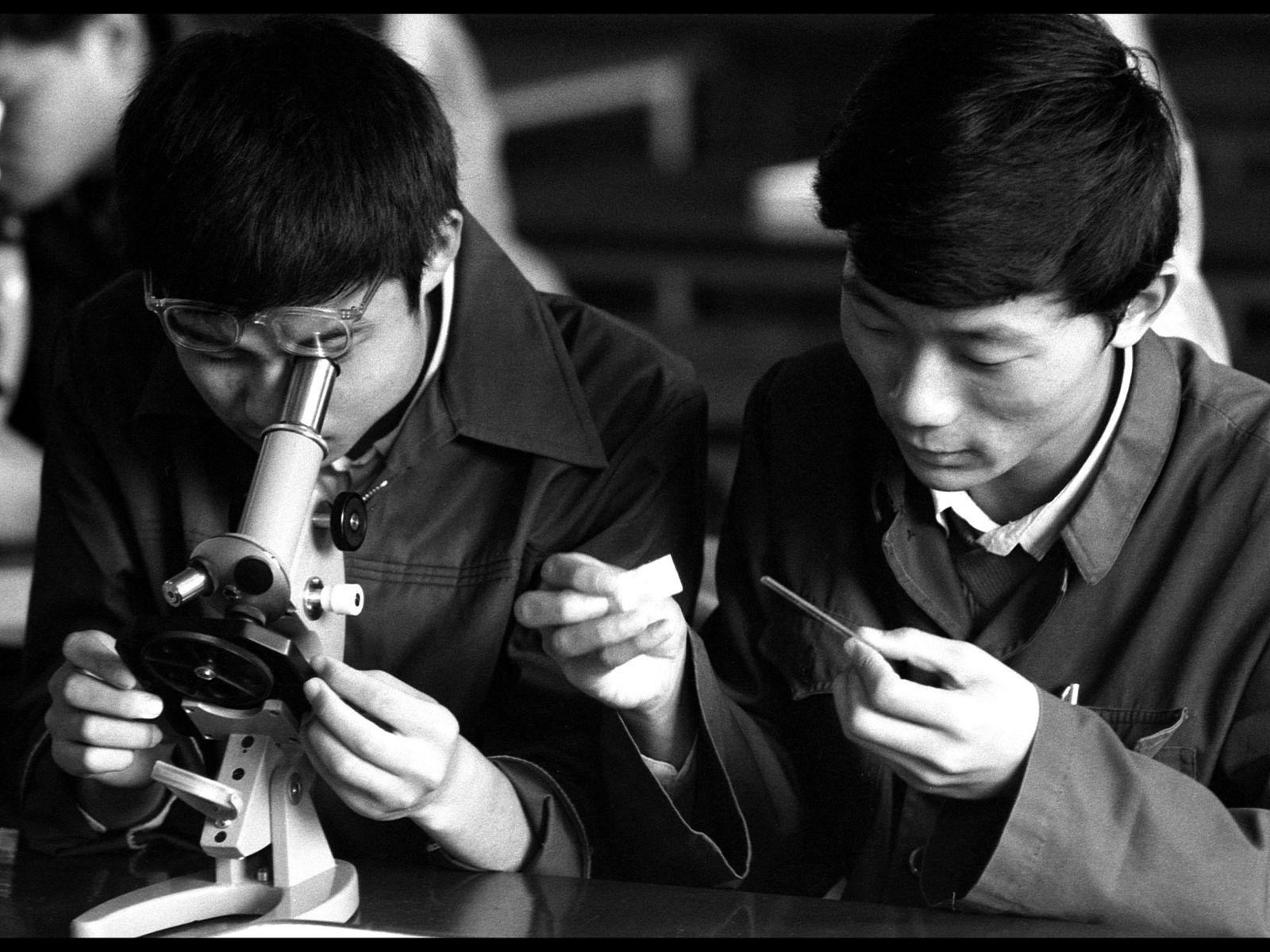 High school students in Shanghai analyzing