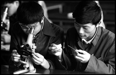 High school students in Shanghai analyzing