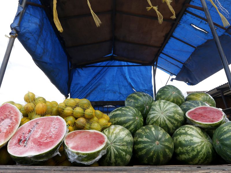 Watermelon__Master.jpg