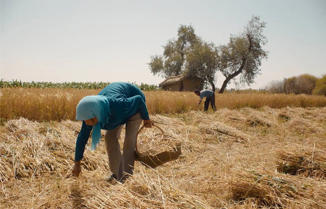 Still from Return to Dust