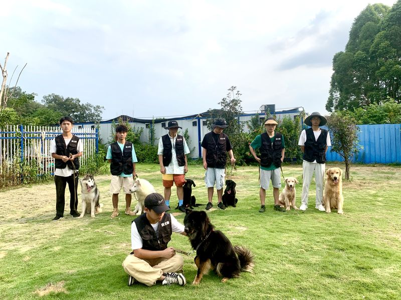 Professional dog trainers with their dogs