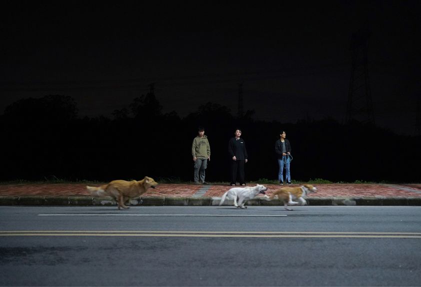 Dogs running in the middle of a night on the street, Yan Jiacheng "Night in the Suburbs"