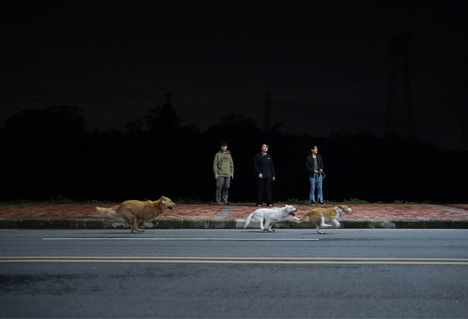 Dogs running in the middle of a night on the street, Yan Jiacheng "Night in the Suburbs"