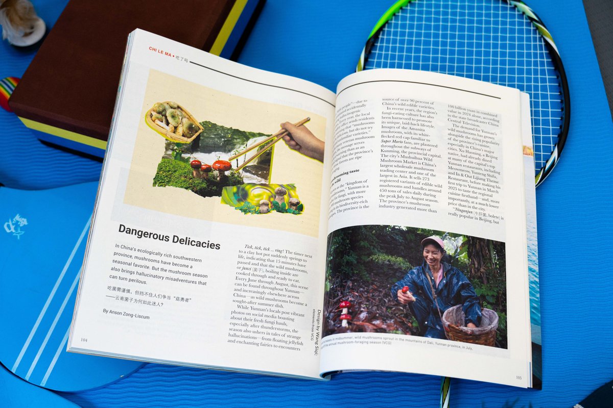 Yunnan’s wild mushroom obsession, New Magazine Issue: Weight of the Nation
