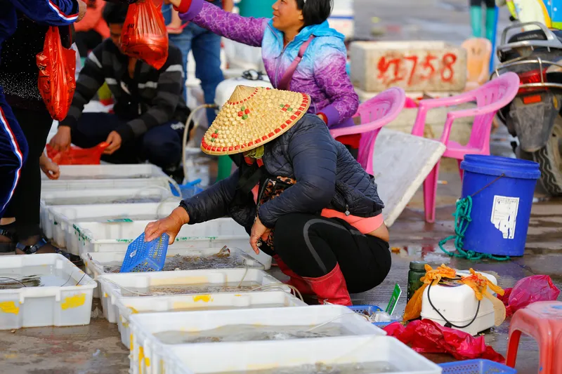 ㅤA woman selling her wares at Lingshui market