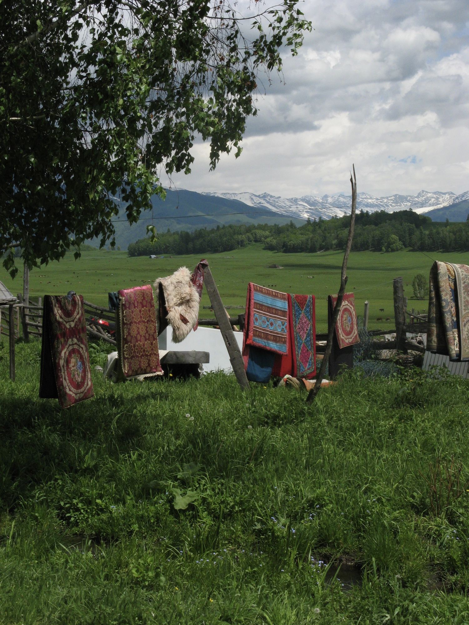 Under clear skies, villagers drape their rugs outside to air and dry in the sun in Altay