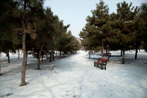 beiling-img_3