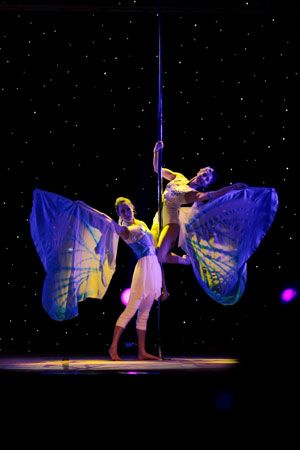 Two talented pole dancers take part in Butterfly Lovers, part of an exhibition in Tianjin to raise pole dancing's profile as a sport and an art