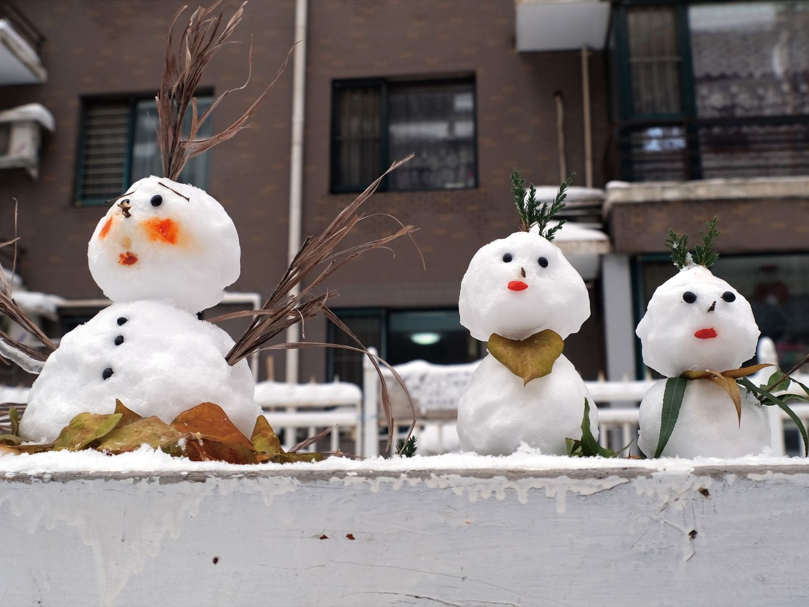 Snowman cover