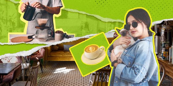 curator cafe-cover