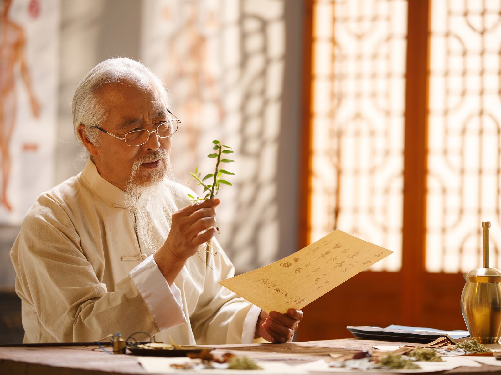 divine doc_VCG218904cb265