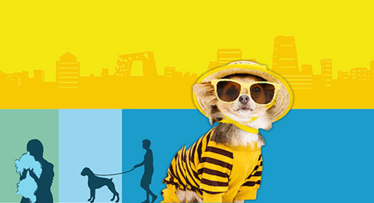 A Dog's Life The World of Chinese