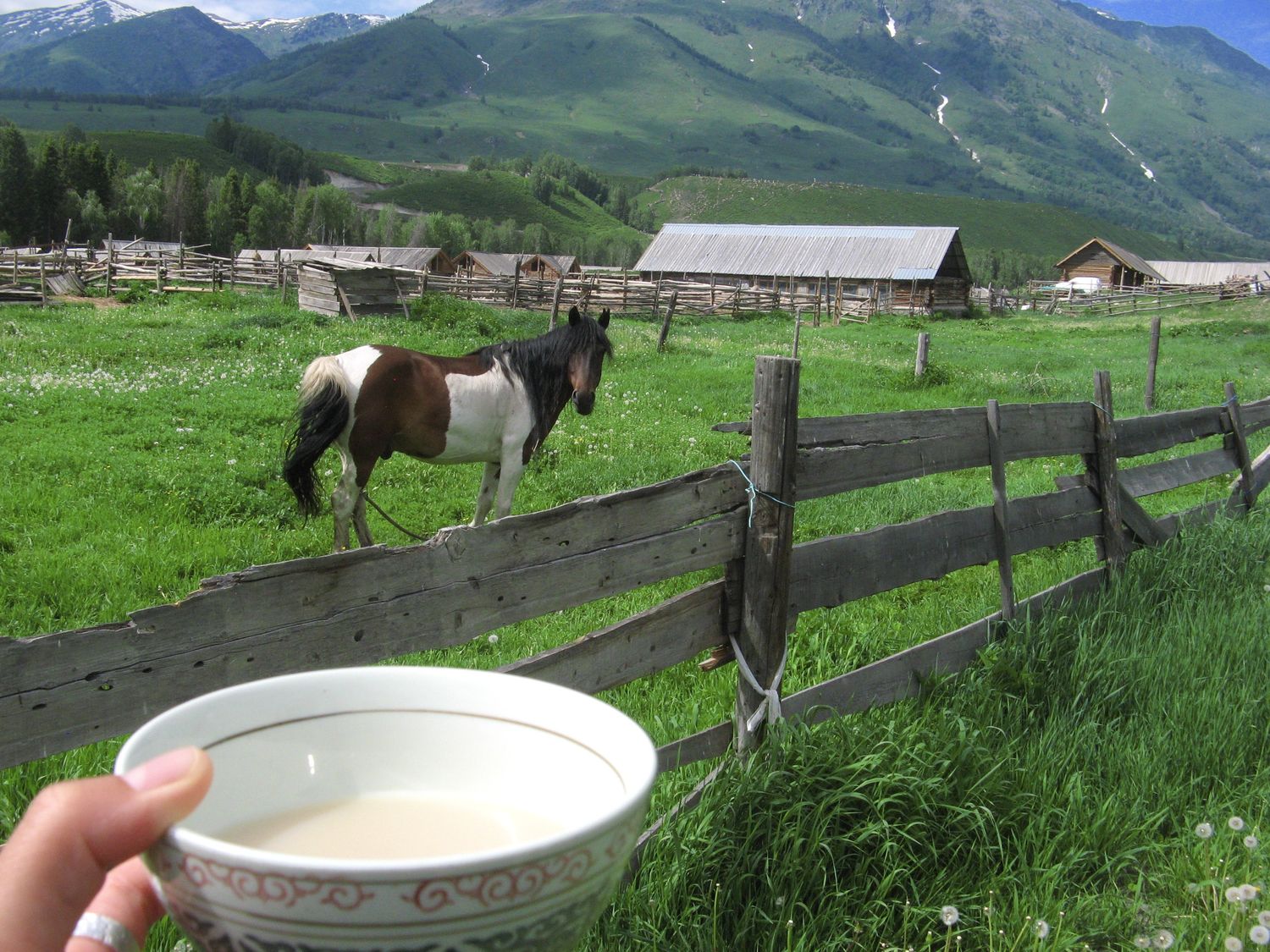 Drinking salty milk tea near the Altay mountains