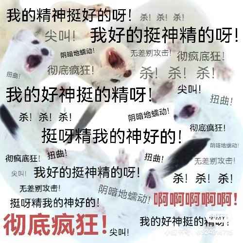 The Memes And Slang That Defined China In 2023 the-memes-and-slang-that-defined-china-in-2023