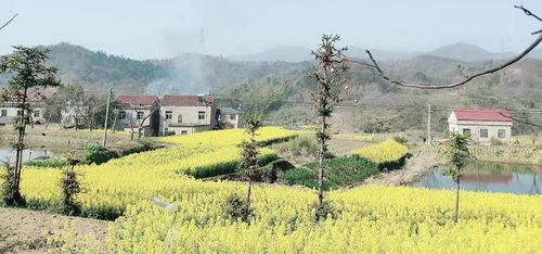 fangyan-friday-wuwei.jpg