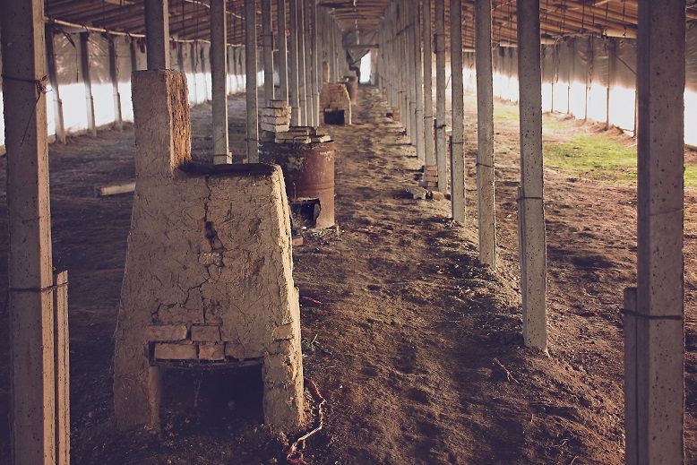 A former chicken farm waiting to be turned into a hothouse