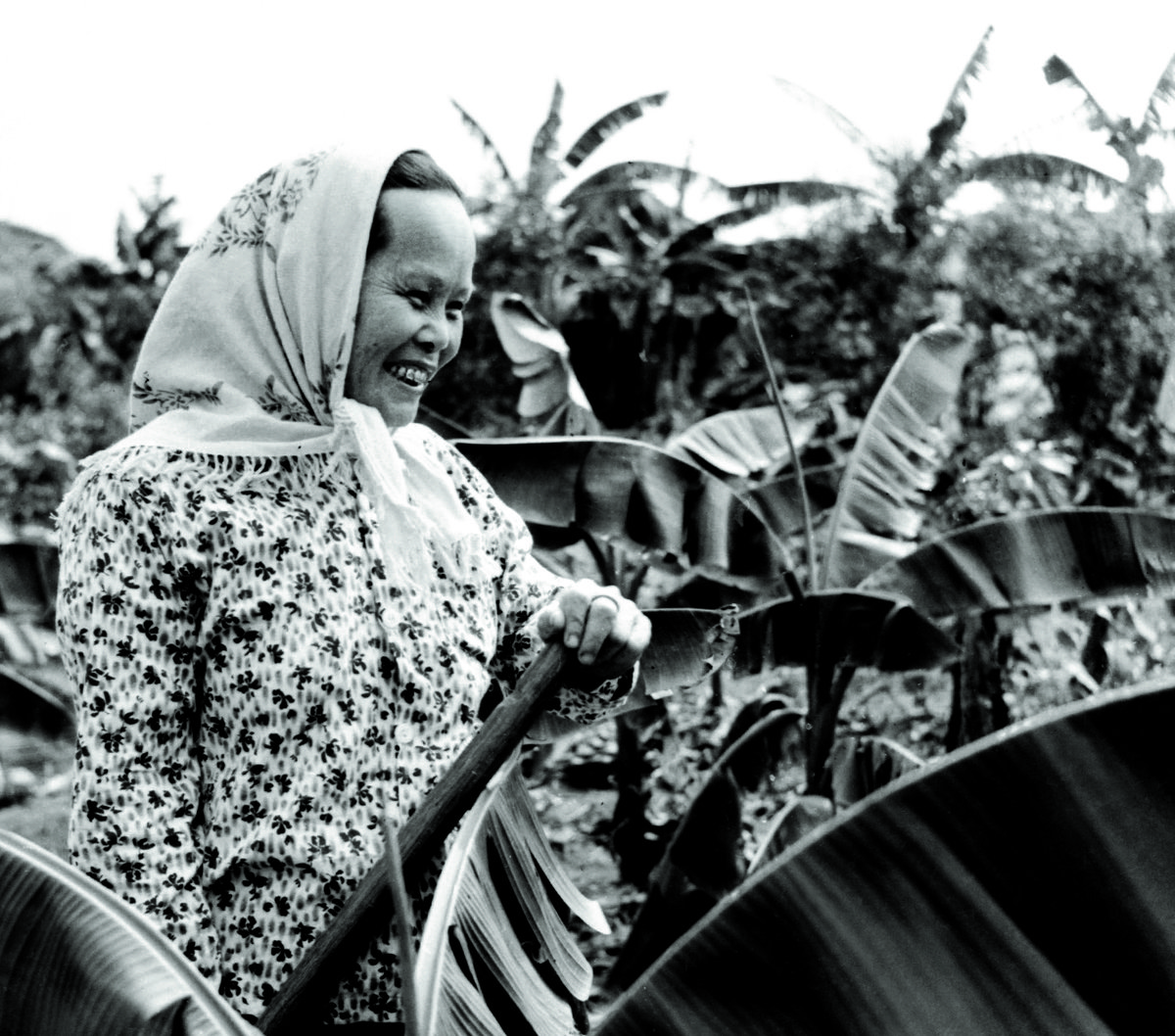 A woman working in Xinglong’s Overseas Chinese Farm in 1959